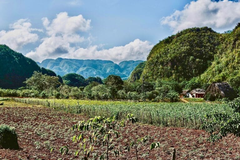Viñales (Kuba)