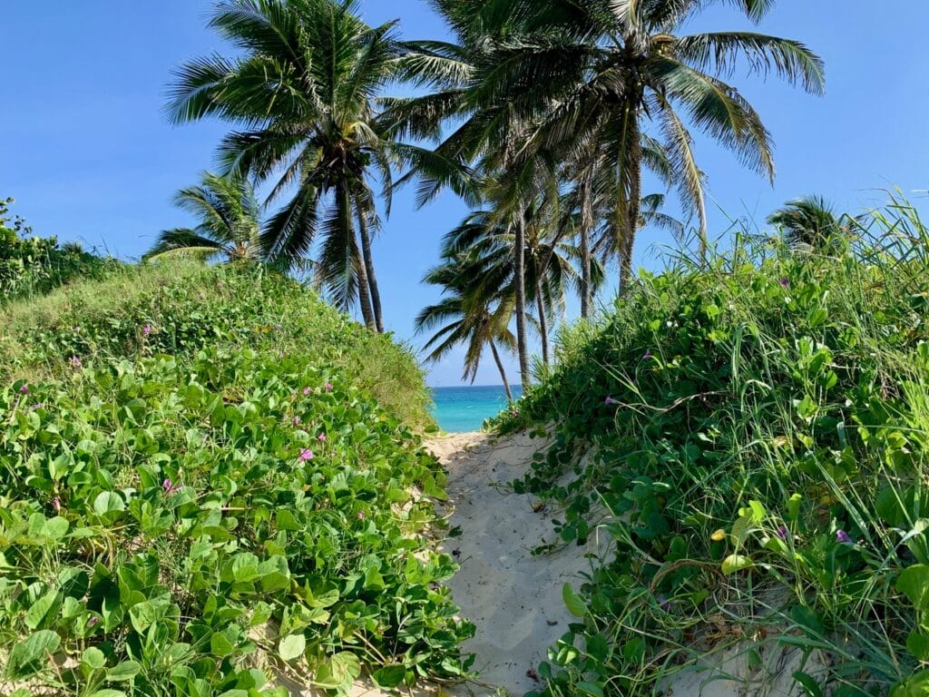 Playa del Este, Strand